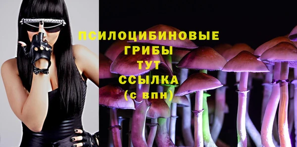 МДПВ Мегион