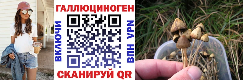 Купить где  Мариинск  Галлюциногенные грибы мицелий 
